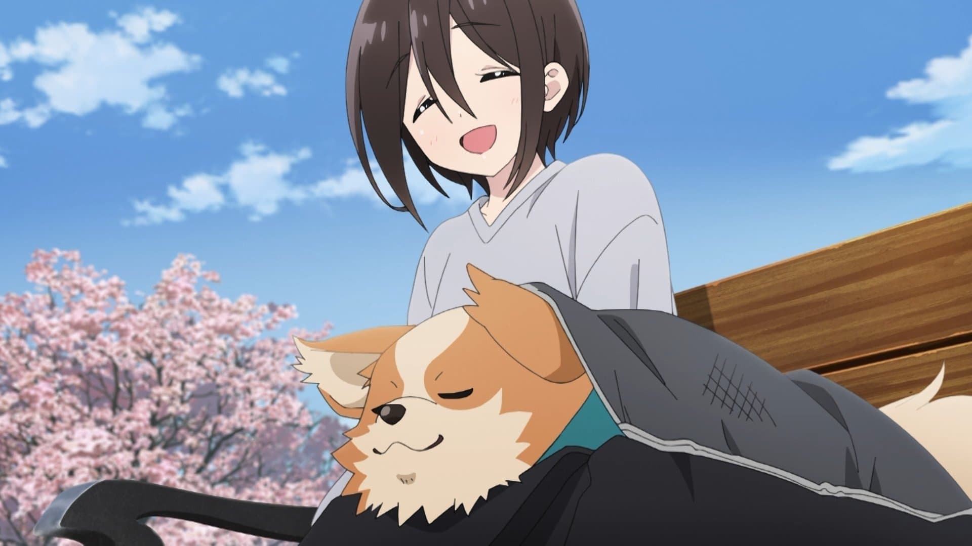 Chikuwa, train, Chiaki et camping en solo Chikuwa, train, Chiaki et camping en solo