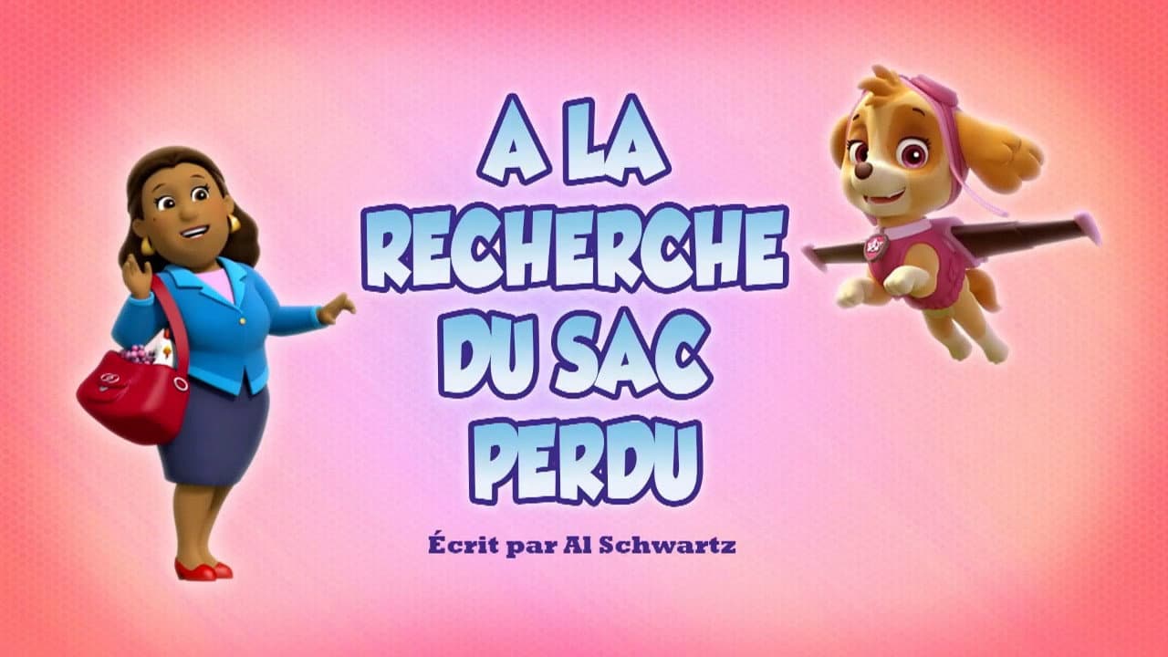 À la recherche du sac perdu À la recherche du sac perdu