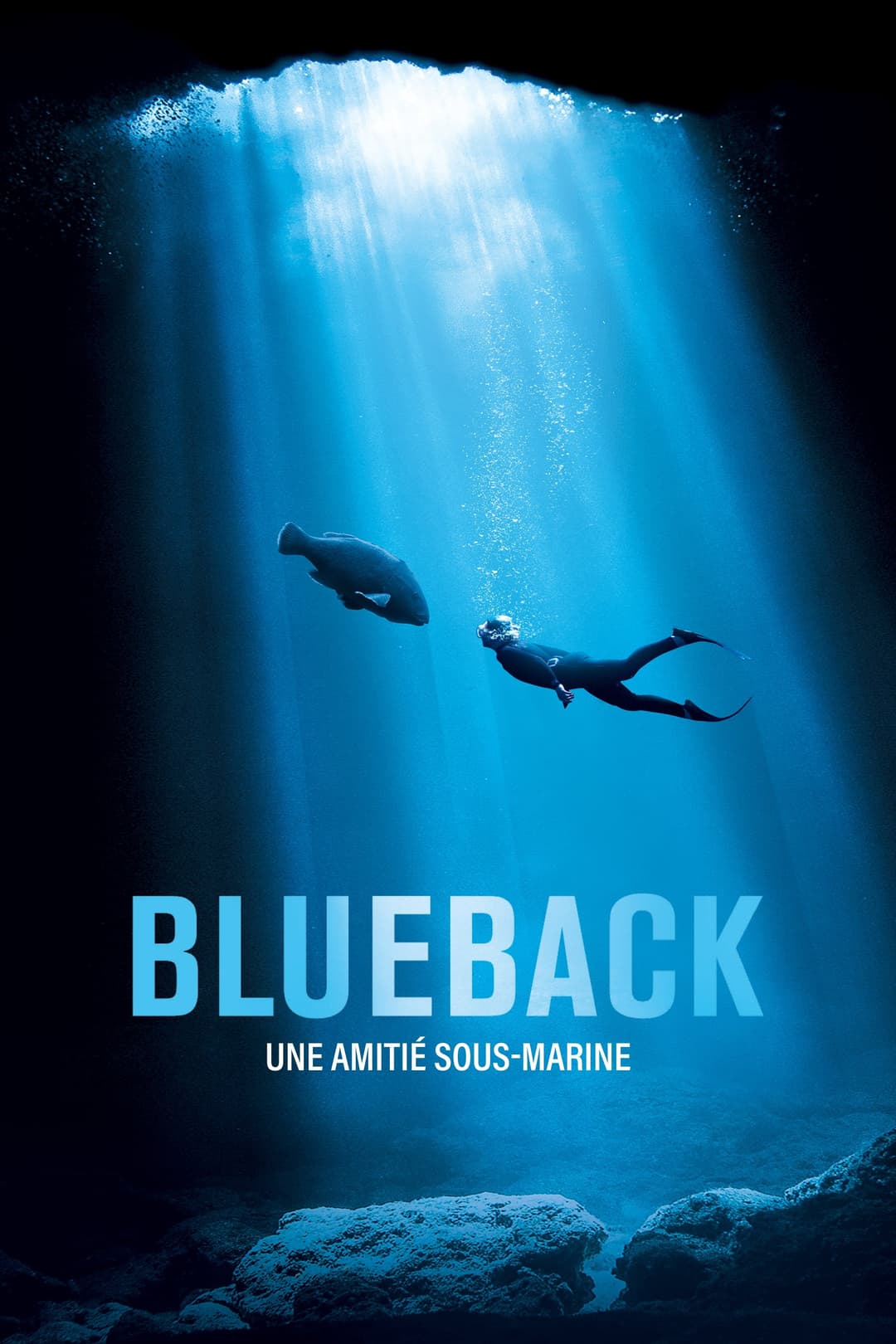 Blueback : Une amitié sous-marine Blueback : Une amitié sous-marine