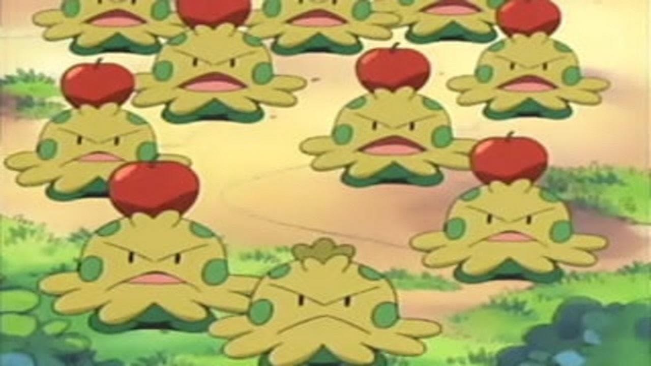 Un Chapignon plutôt grognon Un Chapignon plutôt grognon