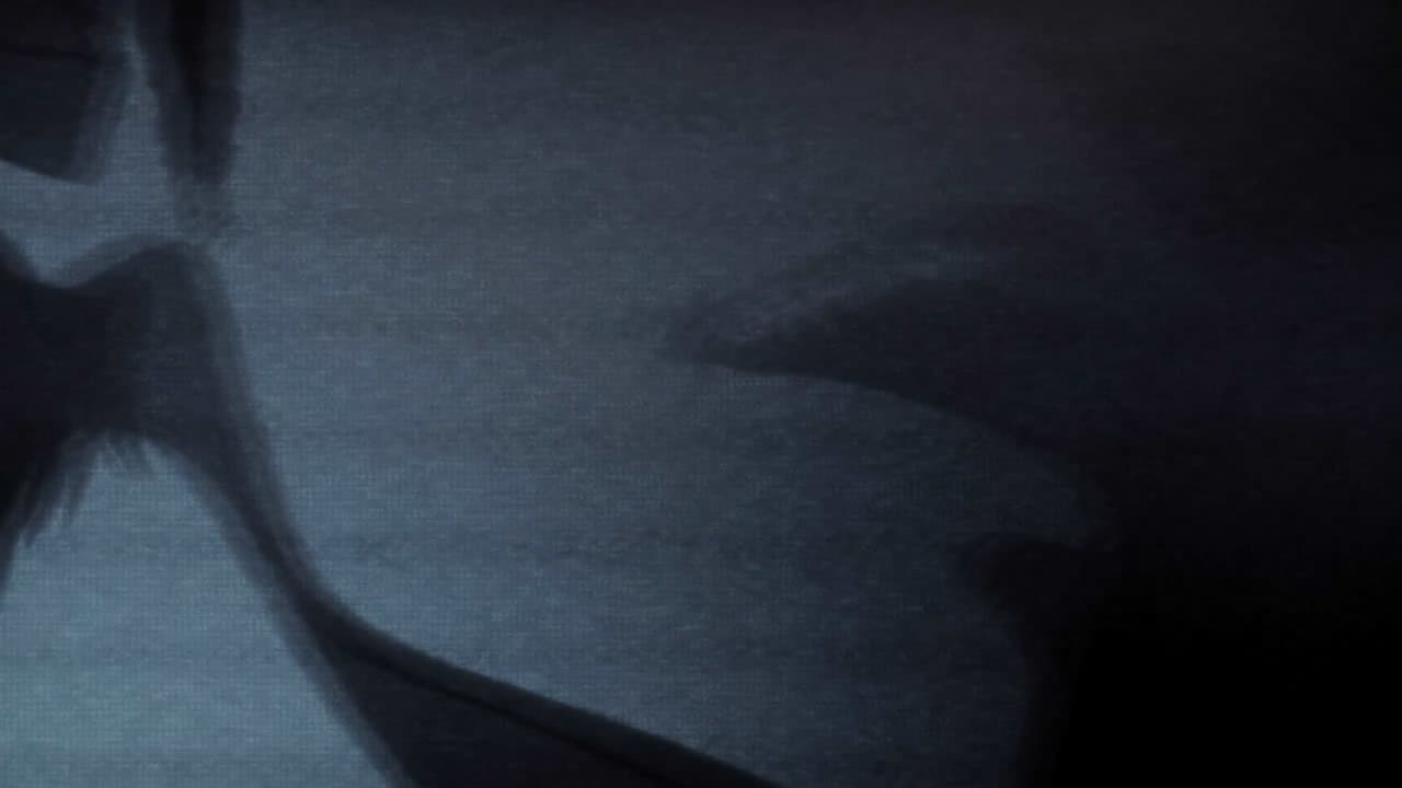 Sur la frontière du Steins;Gate Sur la frontière du Steins;Gate