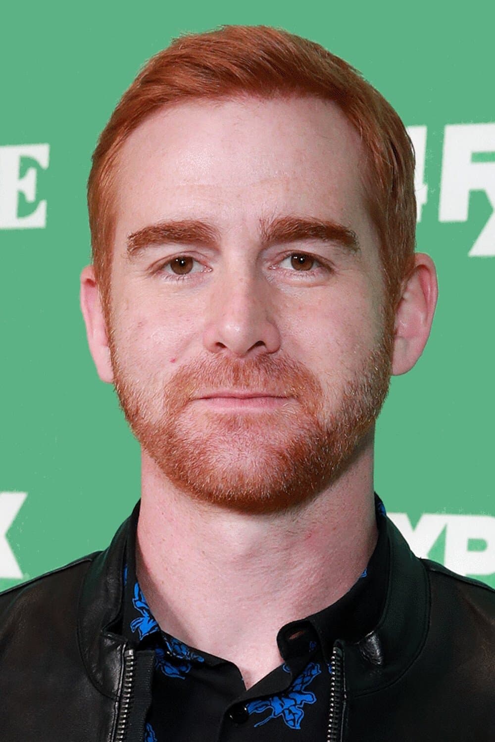 Andrew Santino profile Andrew Santino profile