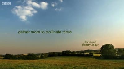 Butiner plus pour polliniser plus Butiner plus pour polliniser plus