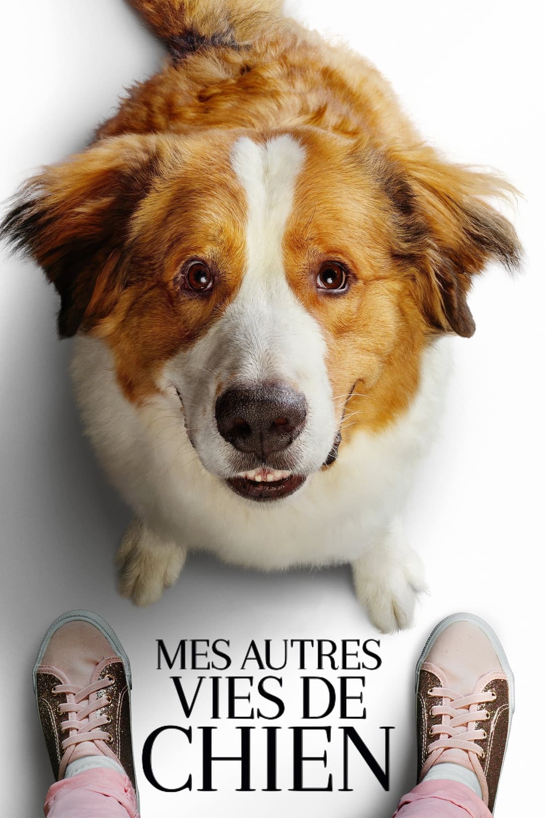 Mes Autres Vies de Chien Mes Autres Vies de Chien