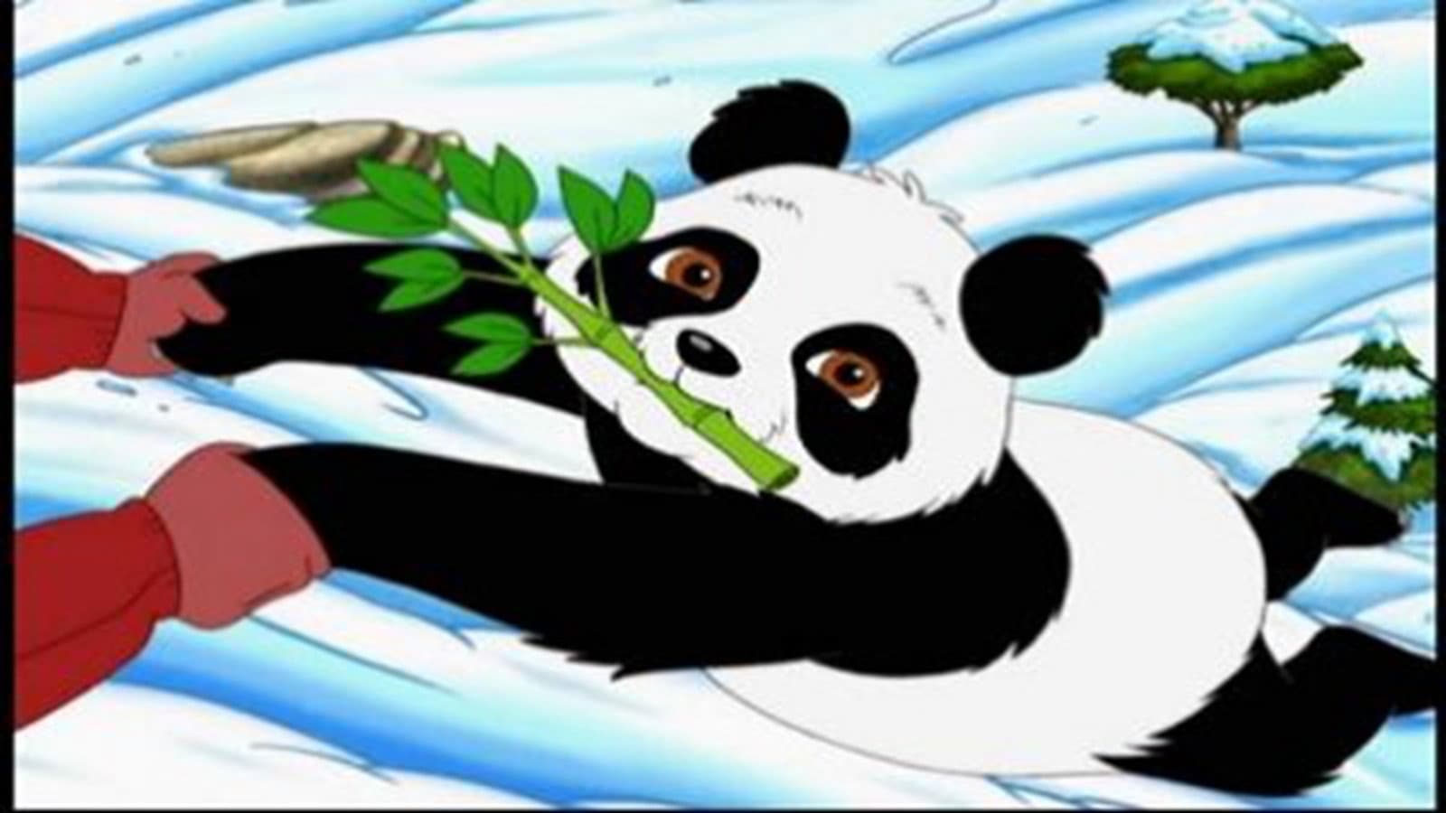 Le panda express Le panda express