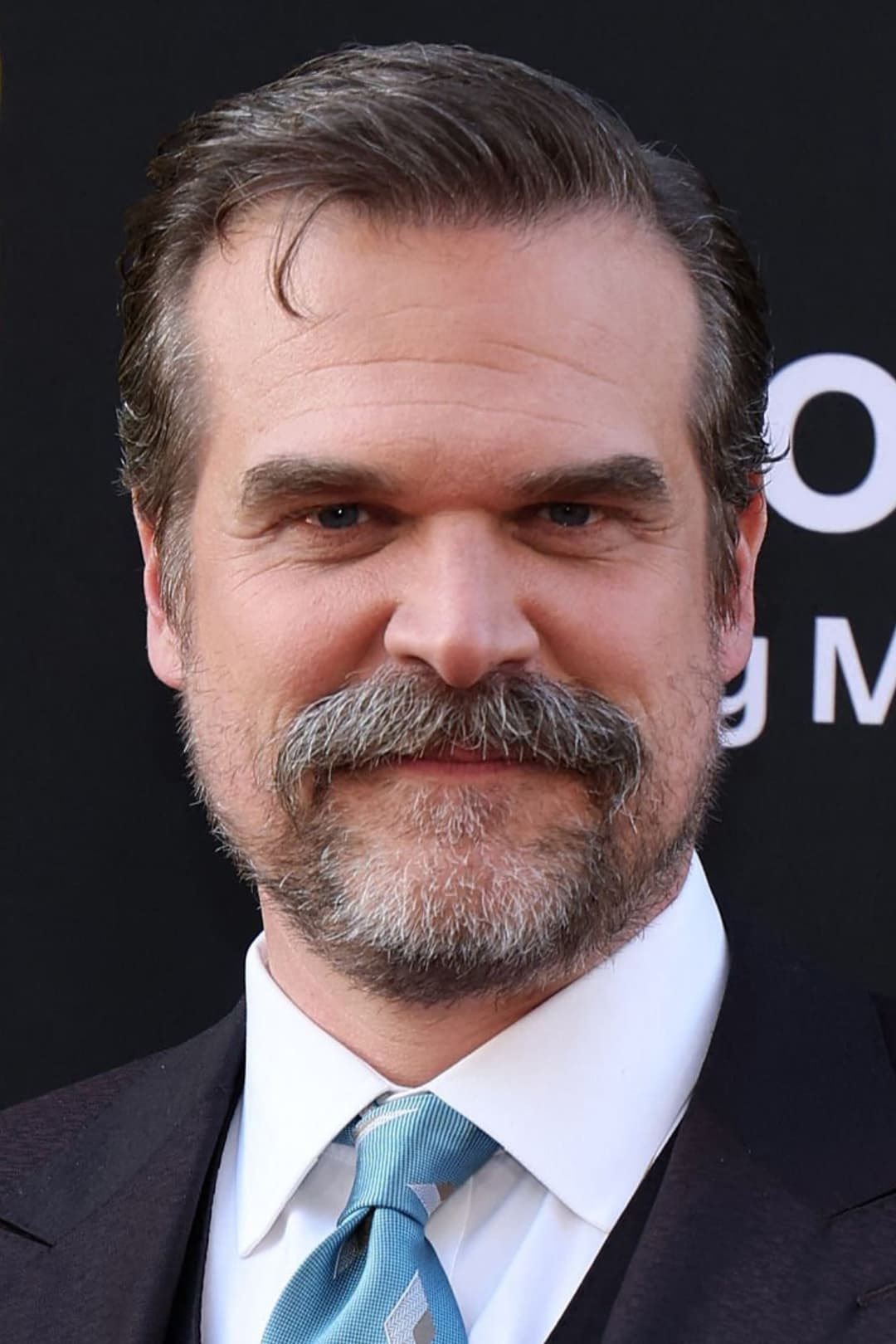 David Harbour profile David Harbour profile