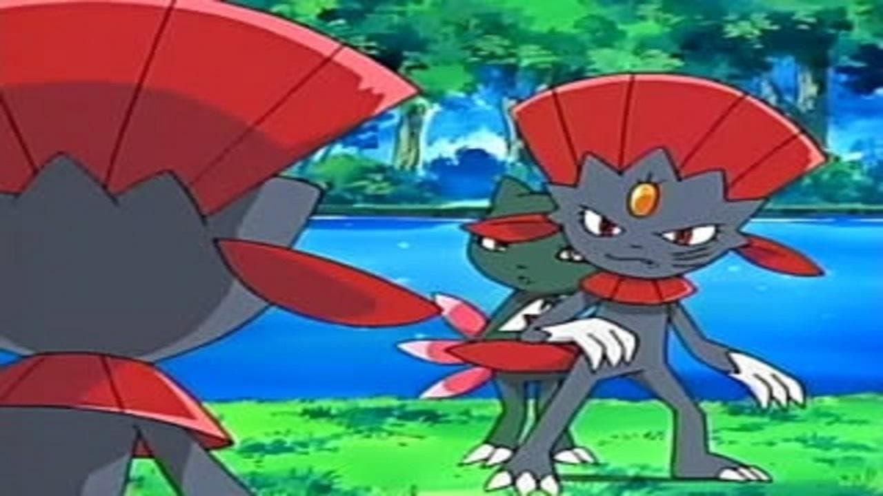 Duel dans la forêt Duel dans la forêt