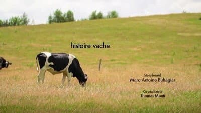 Histoire vache Histoire vache