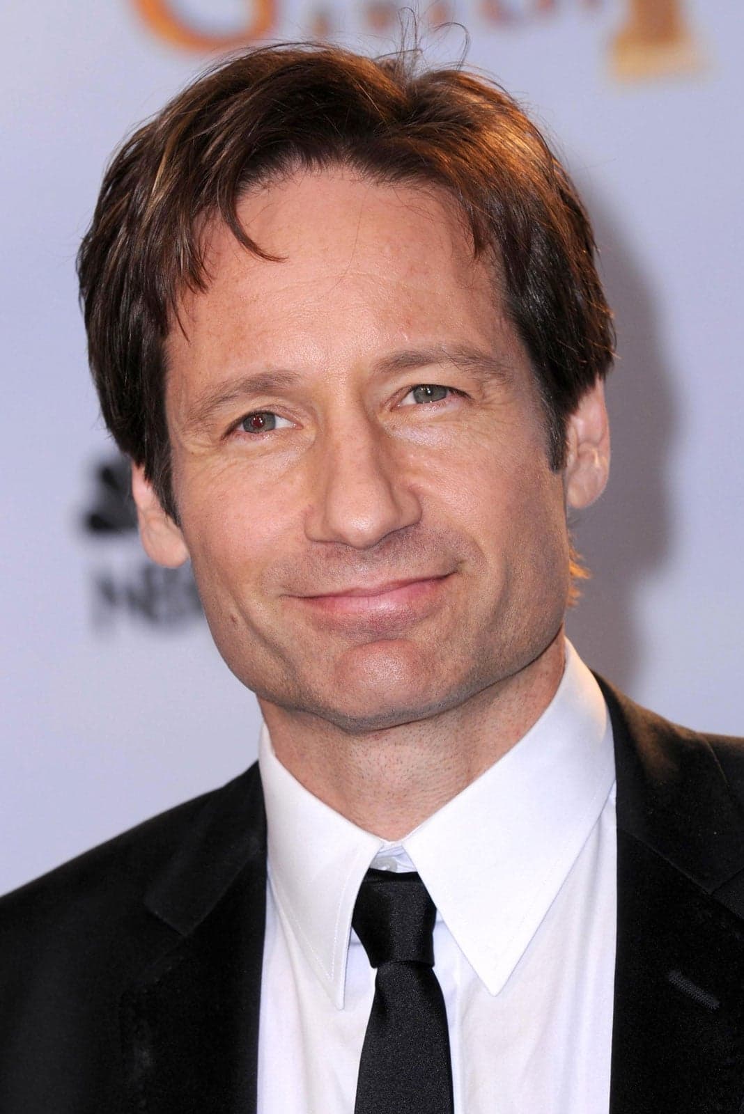 David Duchovny profile David Duchovny profile