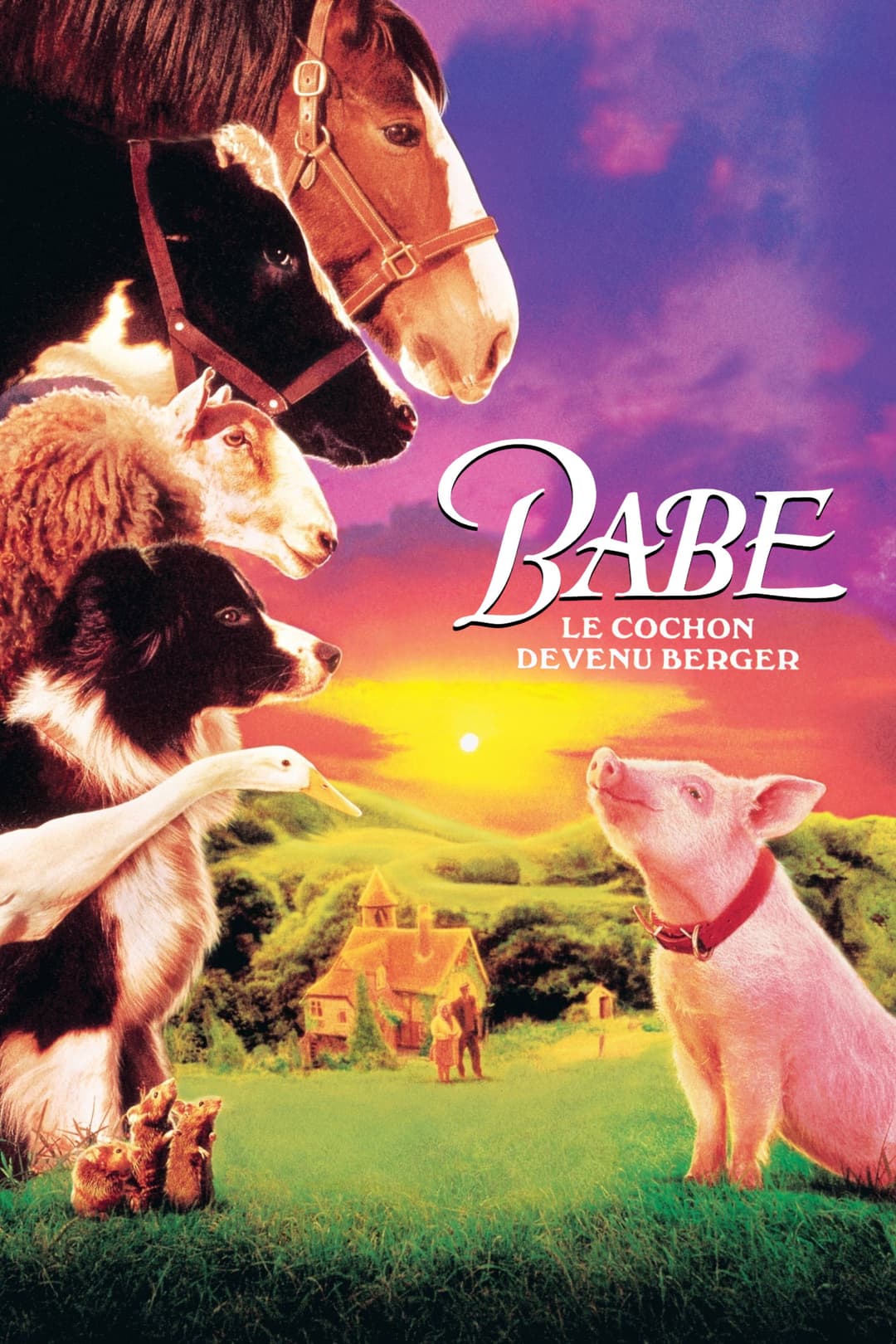 Babe, le cochon devenu berger Babe, le cochon devenu berger