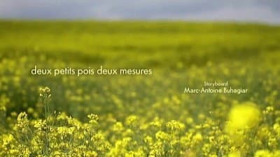 Deux petits pois deux mesures Deux petits pois deux mesures