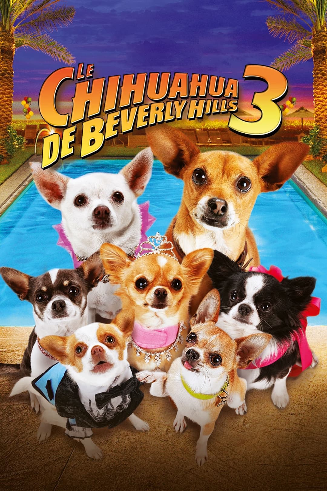 Le Chihuahua de Beverly Hills 3 : Viva la Fiesta ! Le Chihuahua de Beverly Hills 3 : Viva la Fiesta !