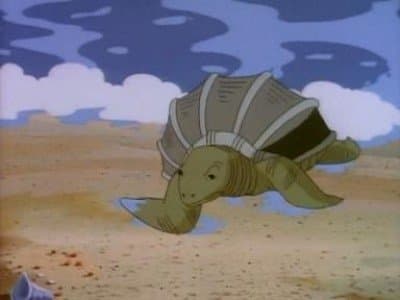 Tortues, et tortues partout Tortues, et tortues partout