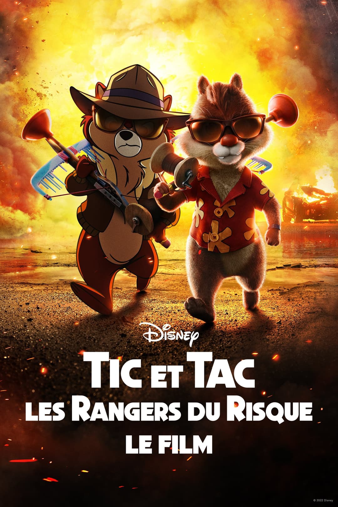 Tic et Tac, les Rangers du Risque : Le Film Tic et Tac, les Rangers du Risque : Le Film