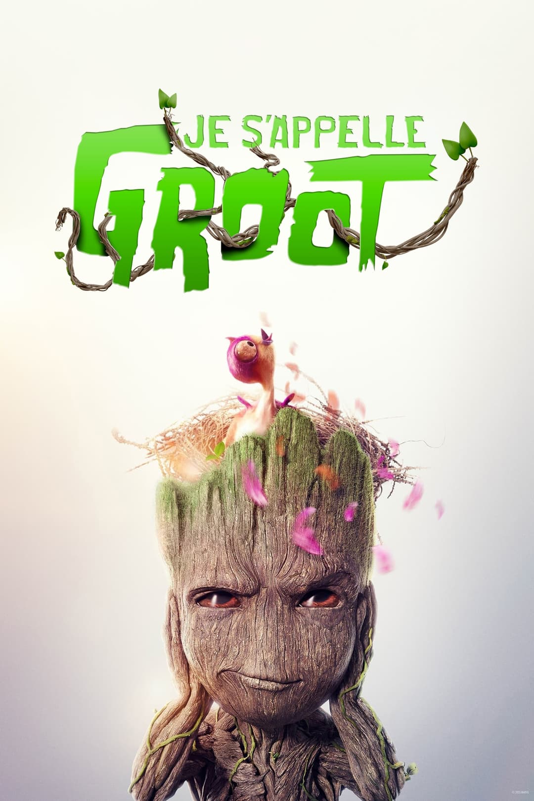Je s'appelle Groot Je s'appelle Groot
