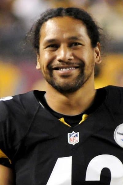 Troy Polamalu profile Troy Polamalu profile