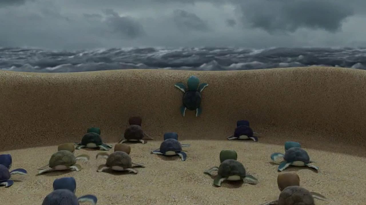 Une tornade de tortues Une tornade de tortues