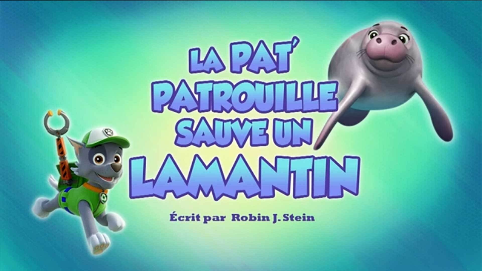 La Pat' Patrouille Sauve Un Lamantin La Pat' Patrouille Sauve Un Lamantin