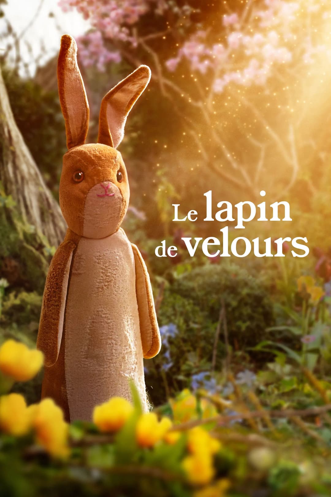 Le Lapin de velours Le Lapin de velours