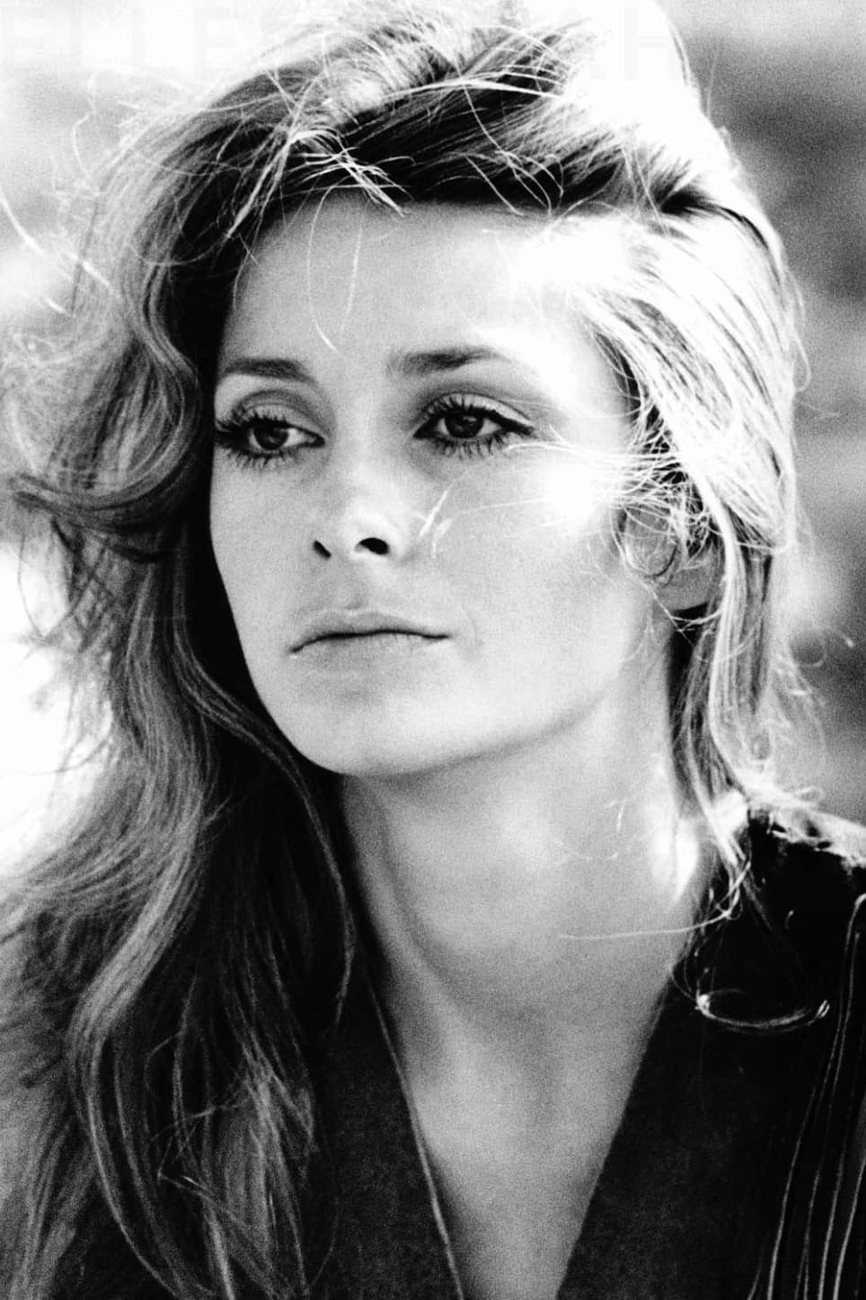 Elizabeth Ashley profile Elizabeth Ashley profile