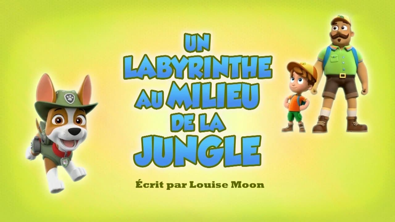 Un Labyrinthe au milieu de la jungle Un Labyrinthe au milieu de la jungle