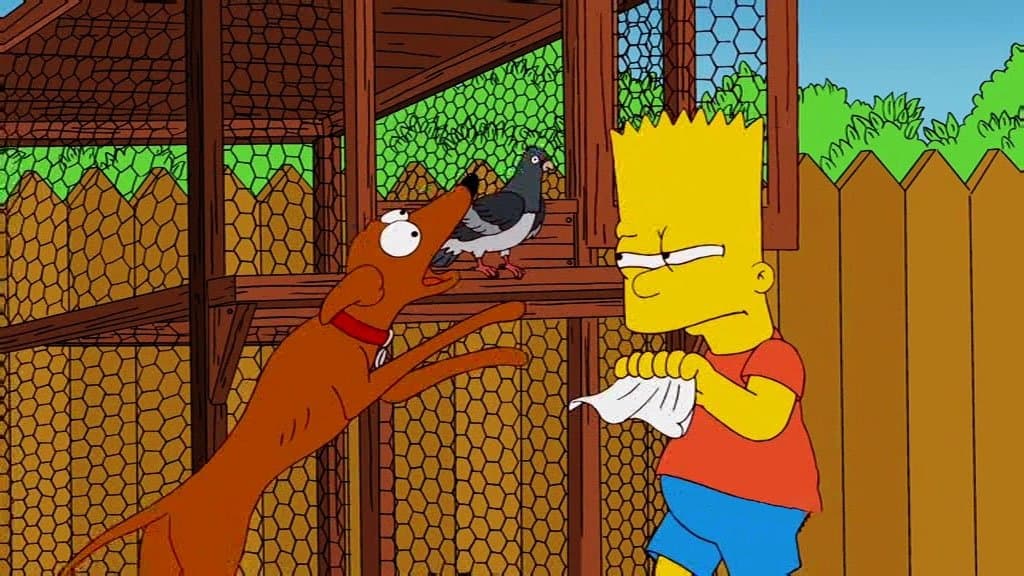Combien pour cet oiseau dans la vitrine ? Combien pour cet oiseau dans la vitrine ?