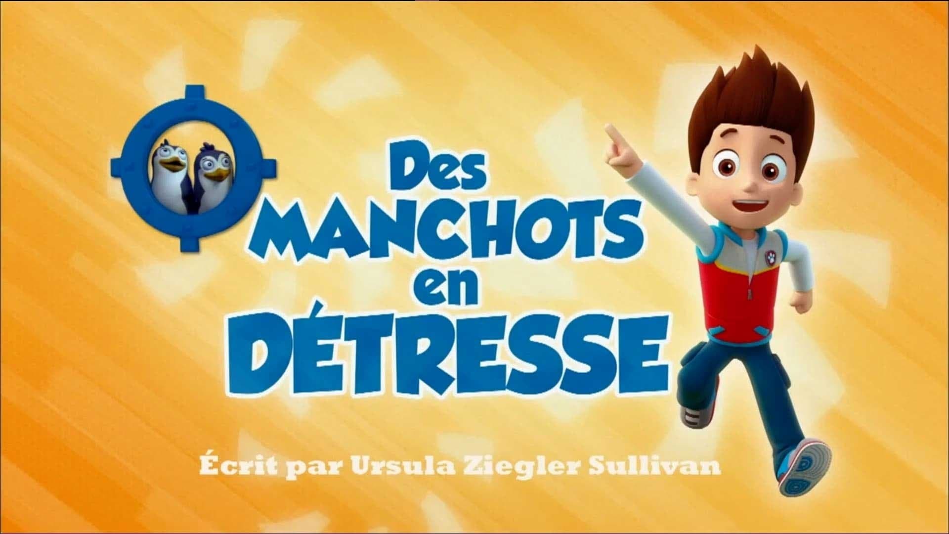 Des Manchots en détresse Des Manchots en détresse