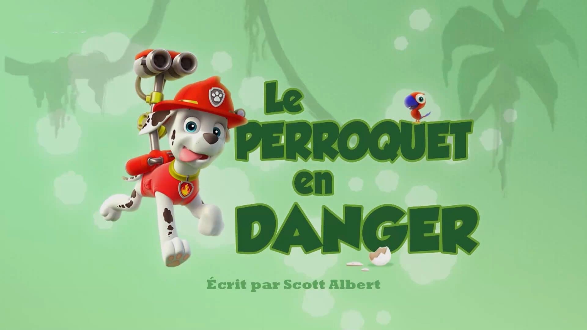 Le Perroquet en danger Le Perroquet en danger